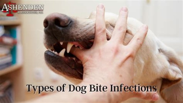 Do Gophers Cause Disease When Biting Dogs
