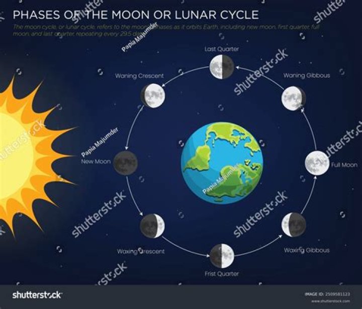 Don Stop Together Moon Cycle