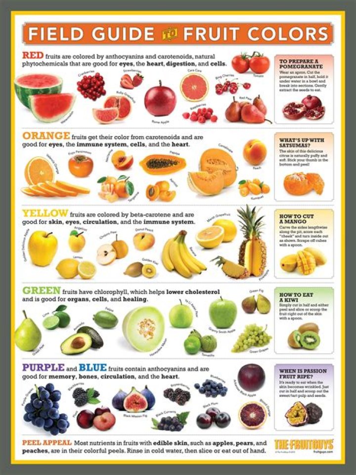 For Which Fruit Is The Us State Of Georgia Famous
