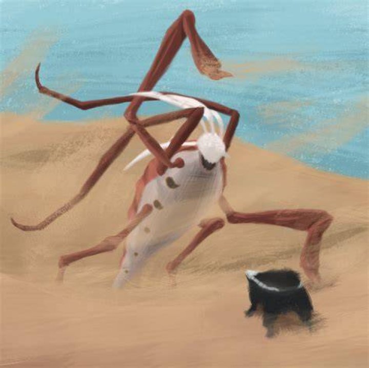 How Do You Feed The Bone Dog In Kenshi