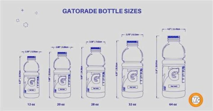 How Long Is A Gatorade Bottle In Inches