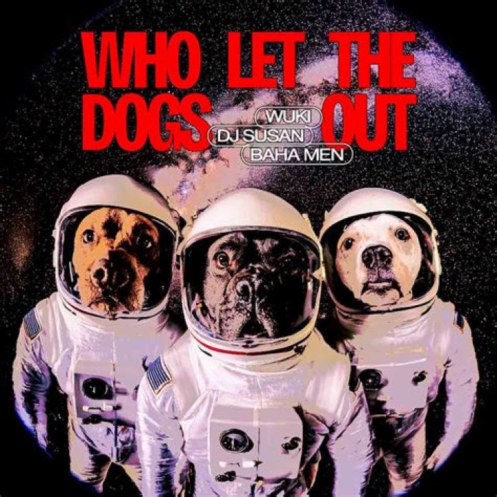 How Much Did The Baja Men Make For Dogs Out