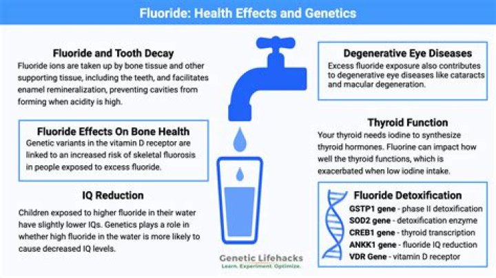 How Much Fluoride Is In Evian Bottled Water