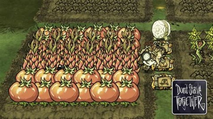How Much Health Does The Tree Monster Have Dont Starve