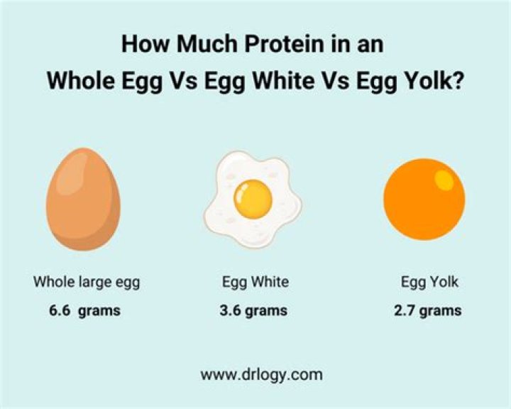How Much Protein In 1 Egg White