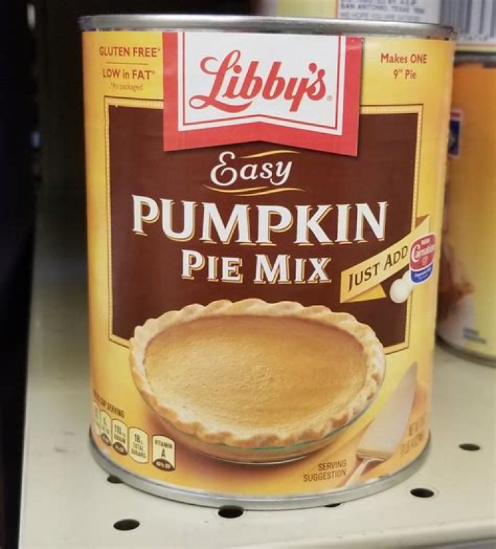 Is It Safe For Dogs To Eat Pumpkin Pie