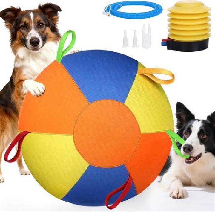 Is It Safe For Dogs To Play With Stress Balls