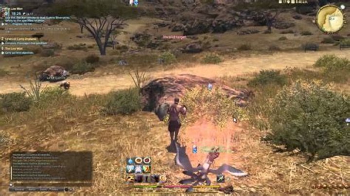 Question: Can’t Do Leves Of Camp Drybone At Lvl 20