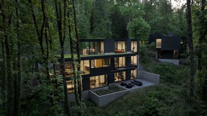 Question: Can You Repair Buildings In The Forest