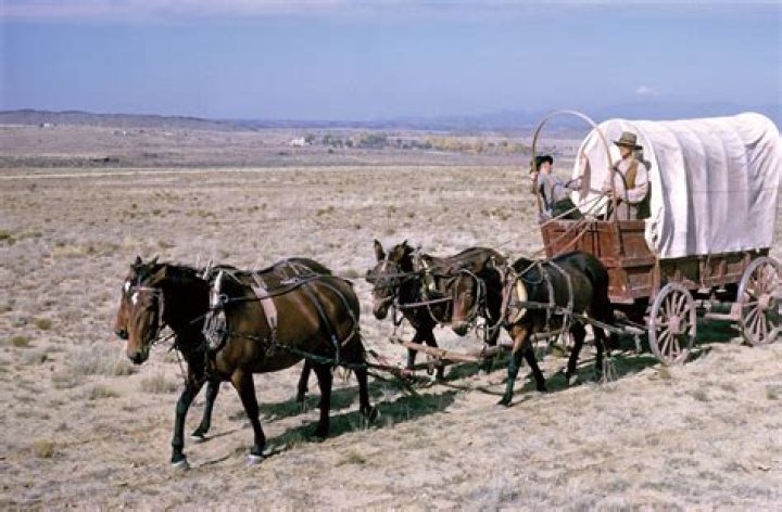 Question: How Did Pioneers Travel On The Oregon Trail