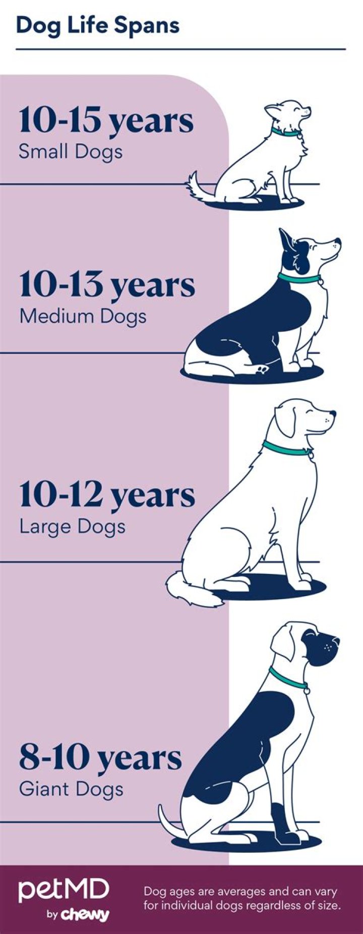 Question: How Long Do Elderly Dogs Live In Sims 4