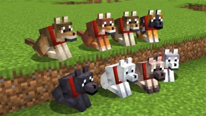 Question: How Long Is The Timer For Dogs To Breed Minecraft