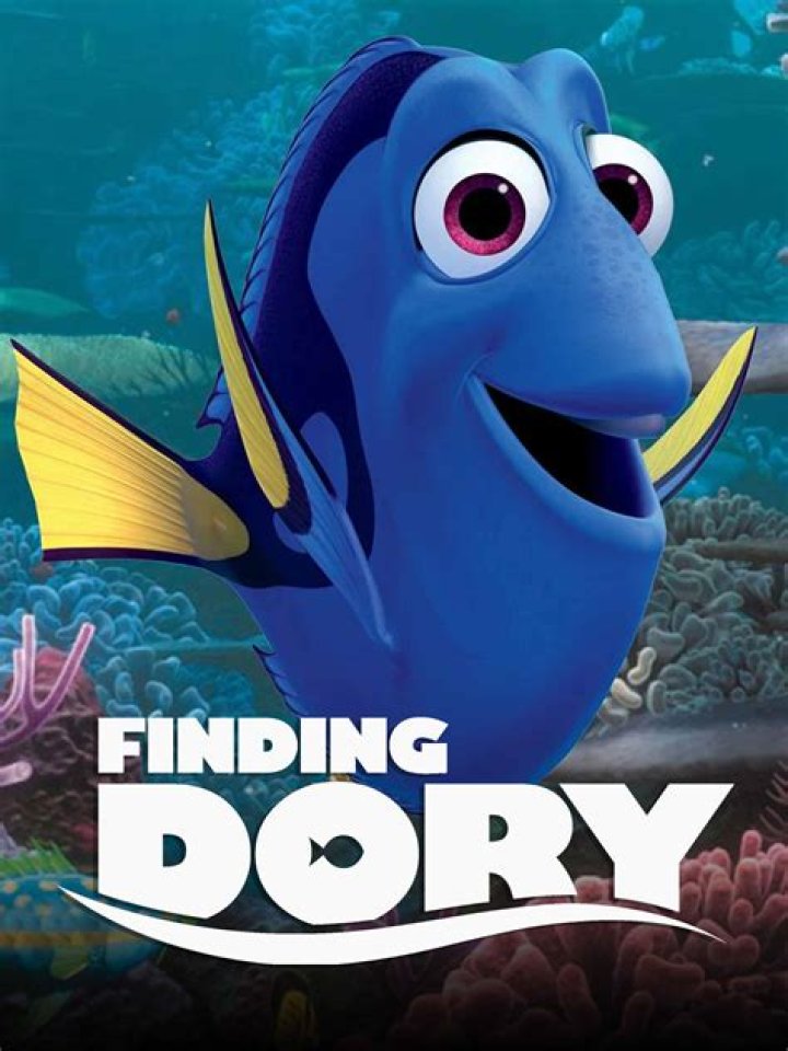 Question: How Many Miles Do They Travel In Finding Dory