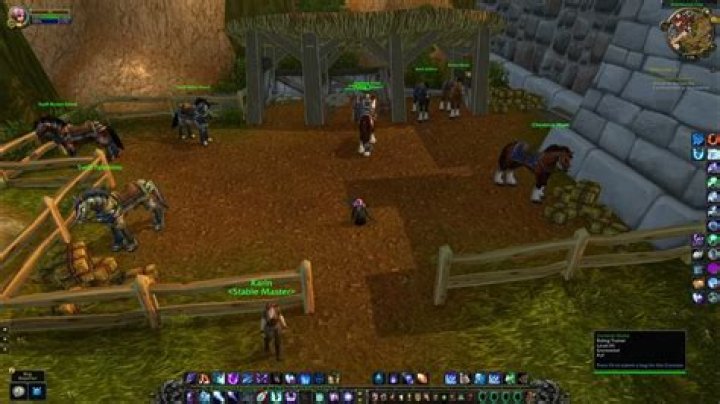 Question: How To Find Riding Trainer In Wow