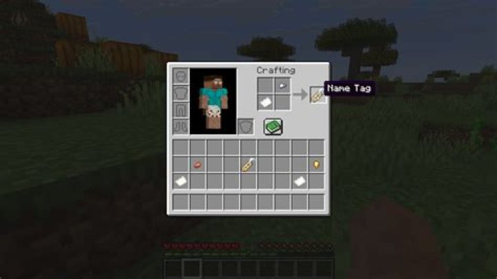 Question: How To Give A Dog A Name Tag Minecraft