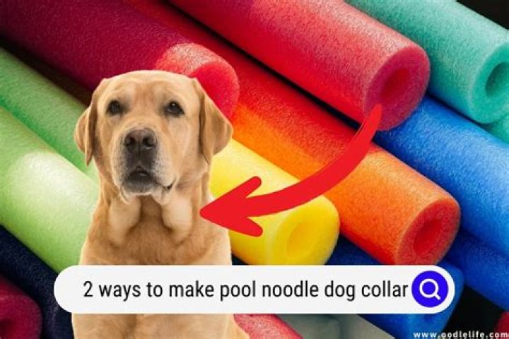 Question: How To Make A Dog Cone From Pool Noodle