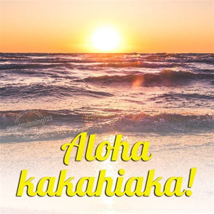 Question: How To Say Good Morning In Hawaiian