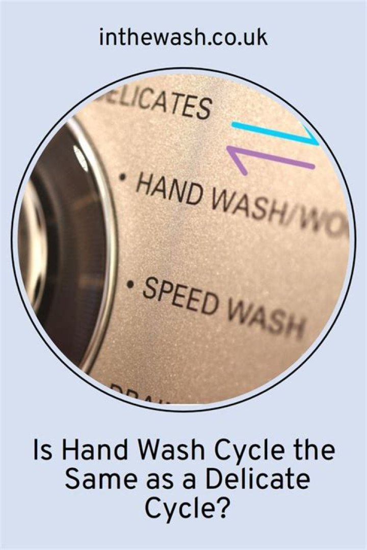 Question: Is Hand Wash The Same As Delicate Cycle