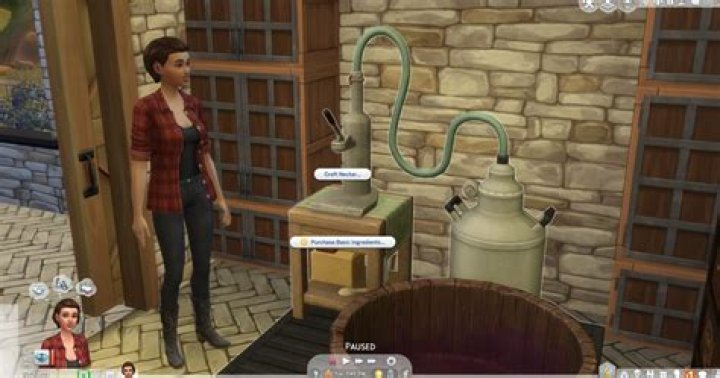Question: Sims 4 Where To Store Camping Supplies