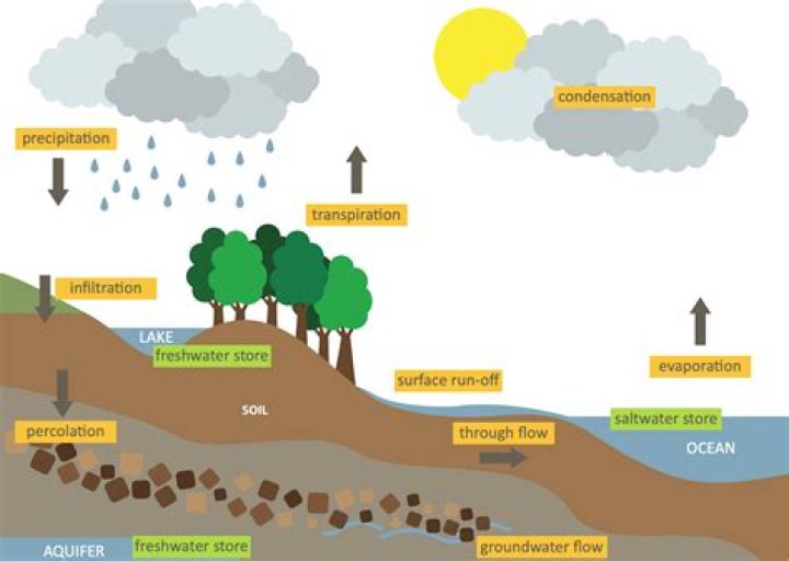 Question: What Is Percolation Water Cycle