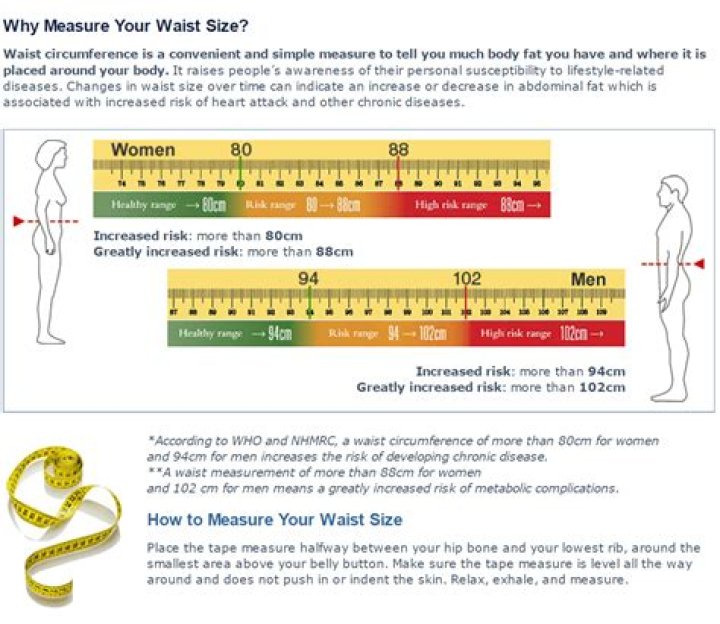 Question: What Waist Size Is A 12