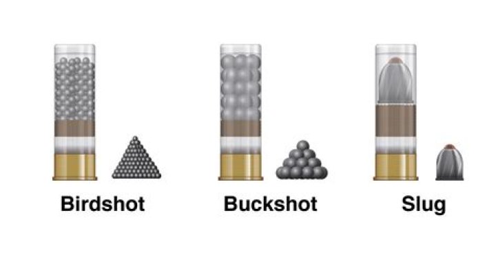 Question: Why Is Buckshot So Hard To Find