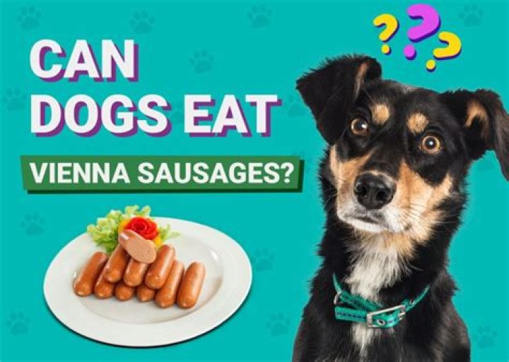 Quick Answer: Are Vienna Sausages Hot Dogs