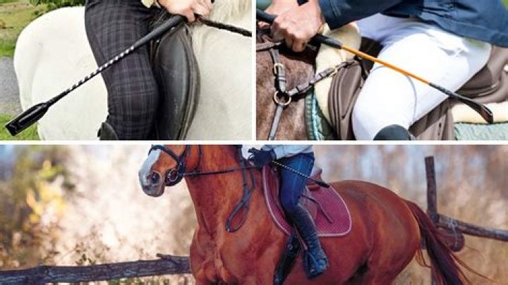 Quick Answer: Can You Be Injured By A Riding Crop