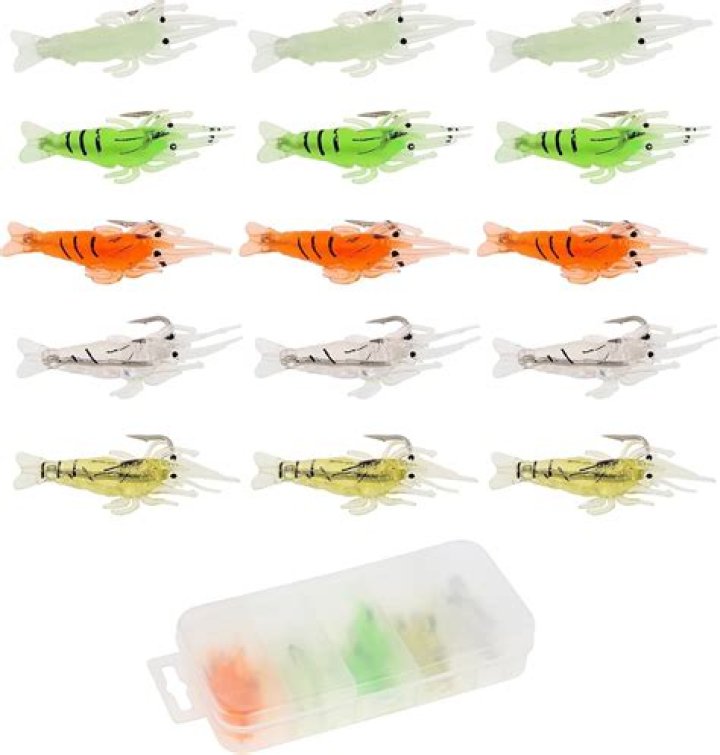 Quick Answer: Can You Use Freshwater Fish As Bait In Saltwater