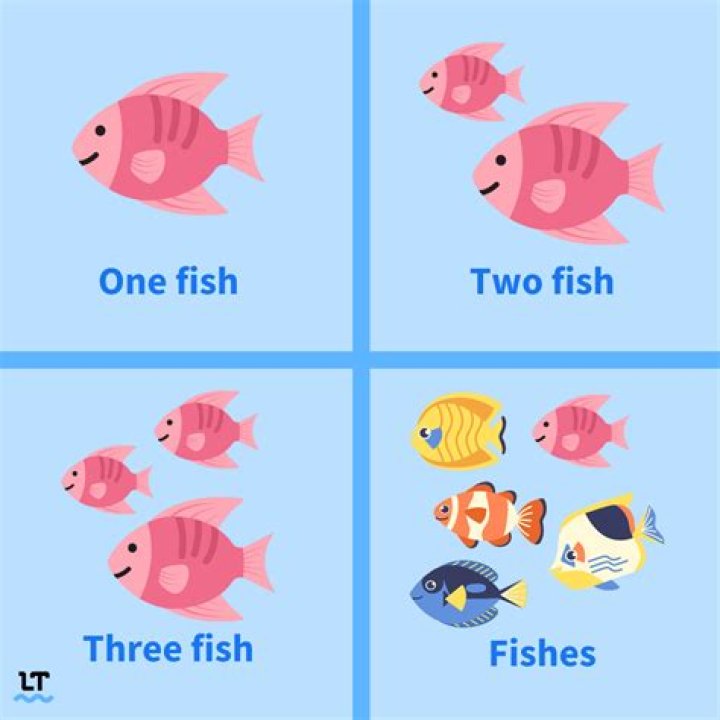 Quick Answer: Do U Say Many Fishes Or Much Fish