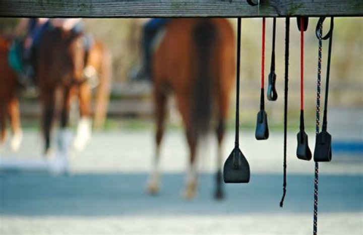 Quick Answer: Does A Riding Crop Hurt The Horse