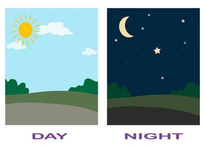 Quick Answer: How Does Day Night Cycle Work In Division 2