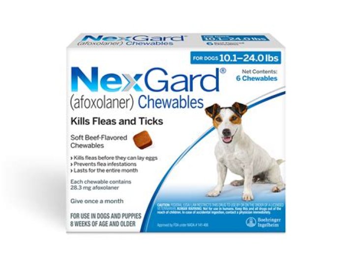 Quick Answer: How Long Does Nexgard Last For Dogs