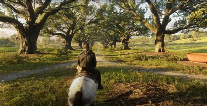 Quick Answer: How Much Money For Fish Carcase Red Dead Redemption 2