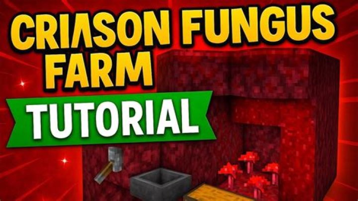 Quick Answer: How To Grow Crimson Fungus