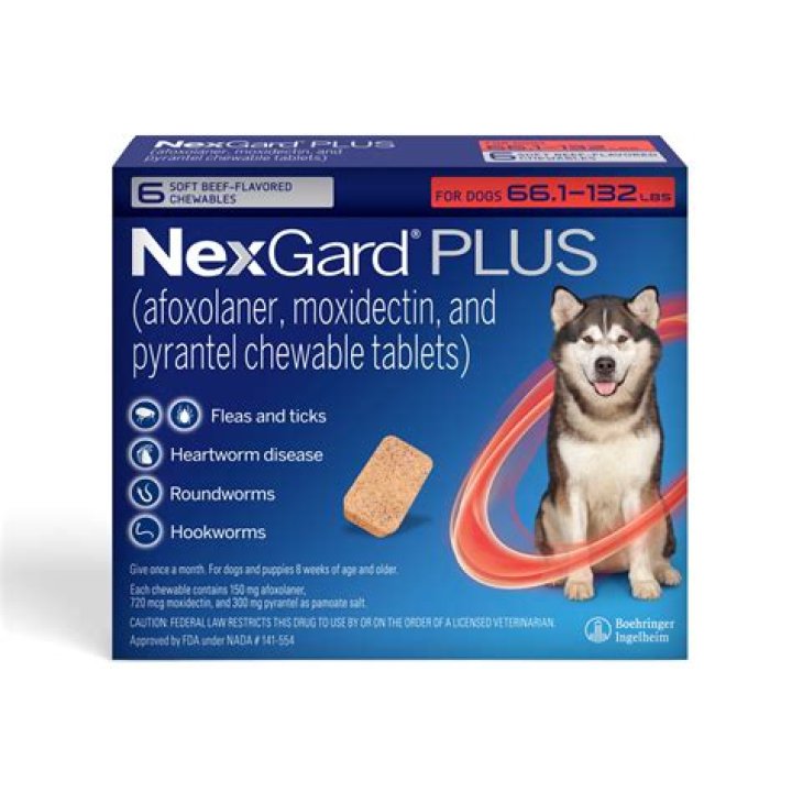Quick Answer: Is Nexgard Safe For Mdr1 Dogs