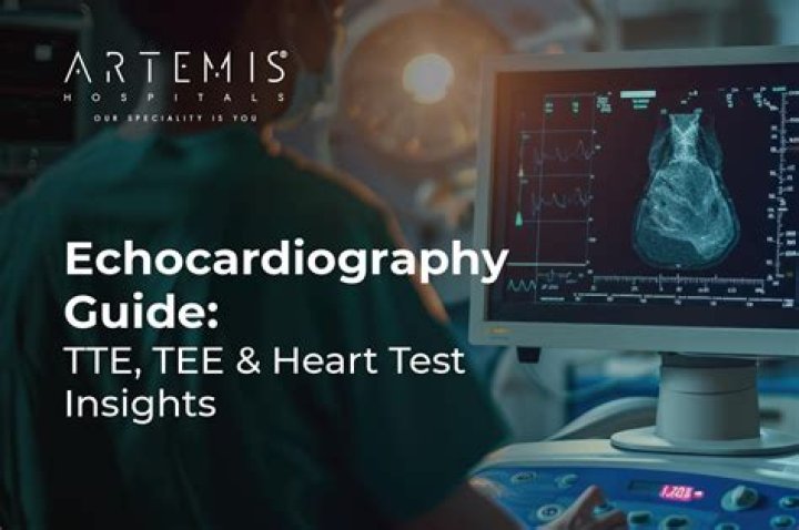 Quick Answer: What Does A Bad Echocardiogram Look Like