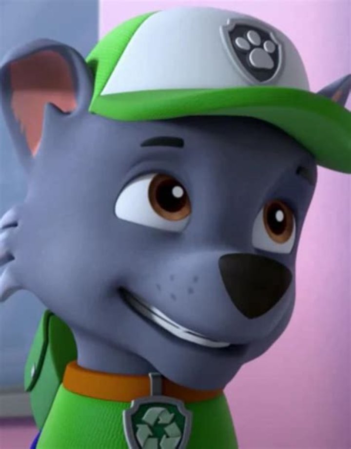 Quick Answer: What Dog Is Rocky From Paw Patrol