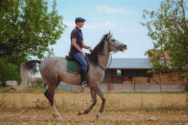 Quick Answer: What Is Roman Riding