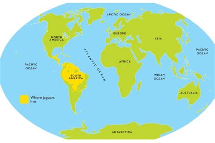 Quick Answer: Where Do They Live In Outer Banks