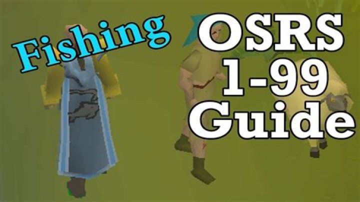 Quick Answer: Where To Use Big Fishing Net Osrs