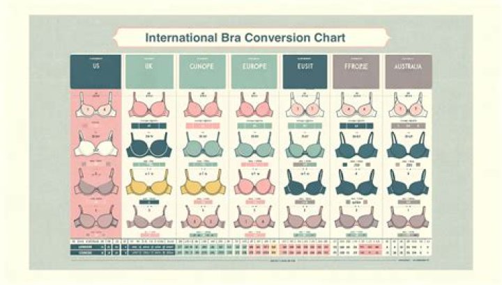 What Are Bra Cup Sizes In Order