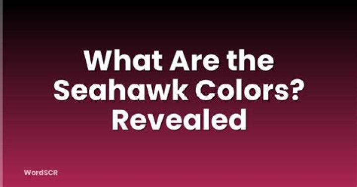 What Are The Seahawk Colors