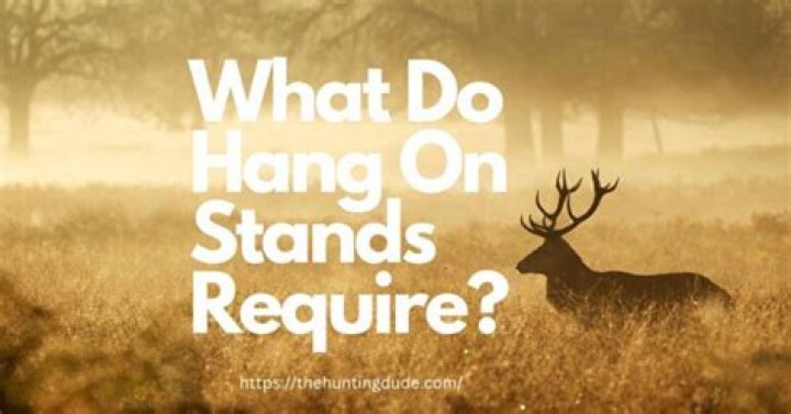 What Do Hang-On Stands Require
