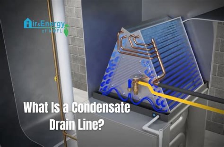 What Does The Drain And Spin Cycle Do