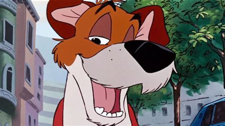 What Kind Of Dog Is Dodger From Oliver And Company