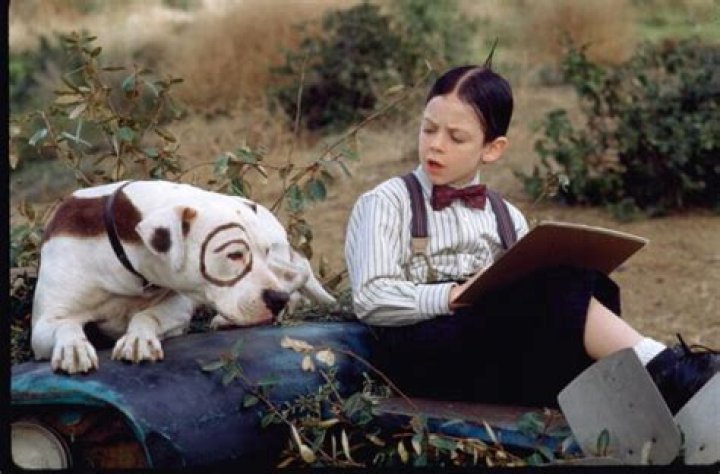 What Was The Dog’s Name On Little Rascals