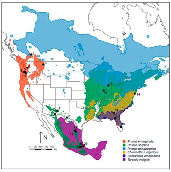 Where Do Botfly Live